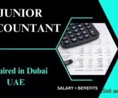 Junior Accountant Required in Dubai