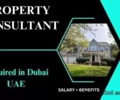 Property Consultant Required in Dubai