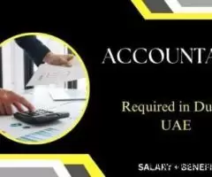 Accountant Required in Dubai