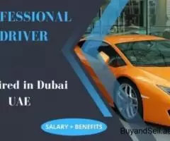 Professional Driver Required in Dubai