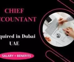 Chief Accountant Required in Dubai