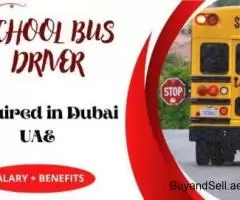 School Bus Driver Required in Dubai