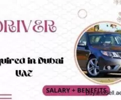 Driver Required in Dubai