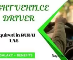 LIGHT VEHILCE DRIVER Required in Dubai