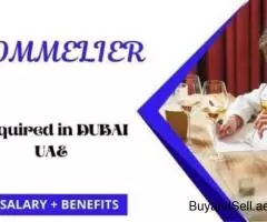 Sommelier Required in Dubai