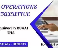 HR Operations Executive Required in Dubai