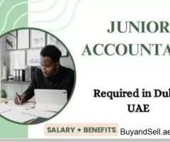 Junior Accountant Required in Dubai