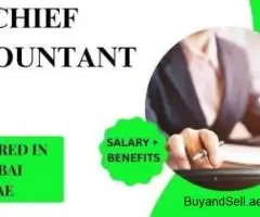 Chief Accountant Required in Dubai