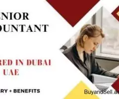 Senior Accountant Required in Dubai