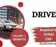 Driver Required in Dubai