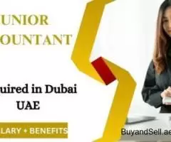 Junior Accountant Required in Dubai