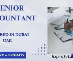 Senior Accountant Required in Dubai