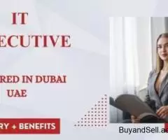 IT Executive Required in Dubai