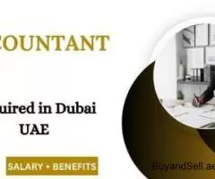 Accountant Required in Dubai