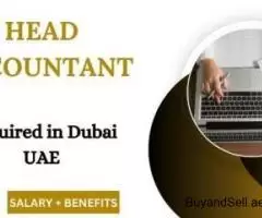 Head Accountant Required in Dubai