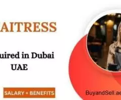 Waitress Required in Dubai