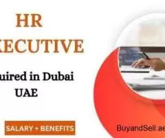 HR Executive Required in Dubai