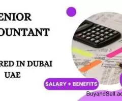 Senior Accountant Required in Dubai