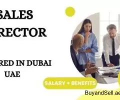 Sales Director Required in Dubai