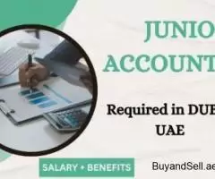 Junior Accountant Required in Dubai