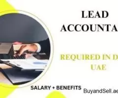 Lead Accountant Required in Dubai