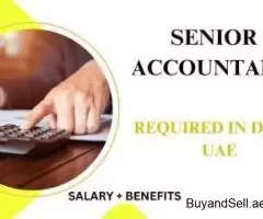 Senior Accountant Required in Dubai