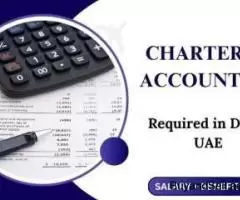 Chartered Accountant Required in Dubai