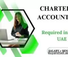 Chartered Accountant Required in Dubai