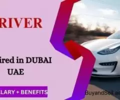 Driver Required in Dubai