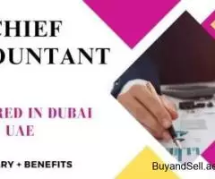 Chief Accountant Required in Dubai