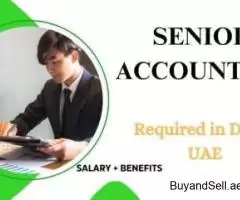 Senior Accountant Required in Dubai