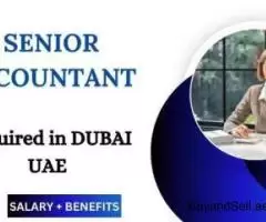 SENIOR ACCOUNTANT Required in Dubai