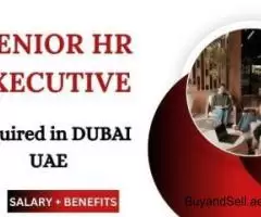 Senior HR Executive Required in Dubai