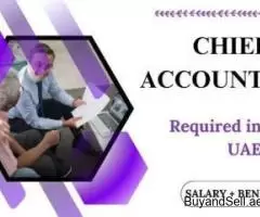 Chief Accountant Required in Dubai