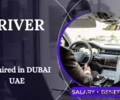 Driver Required in Dubai