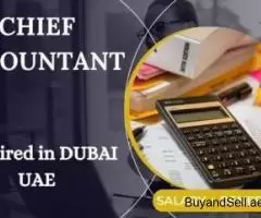 Urgent Chief Accountant Required in Dubai