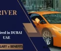 DRIVER Required in Dubai