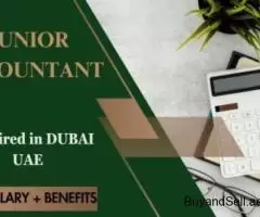 Junior Accountant Required in Dubai