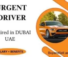 Urgent Driver Required in Dubai