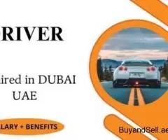 DRIVER Required in Dubai