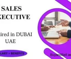 Sales Executive Required in Dubai