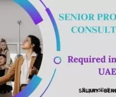 Senior Property Consultant Required in Dubai