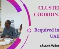 Cluster IT Coordinator Required in Dubai