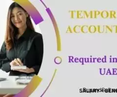 Temporary Accountant Required in Dubai