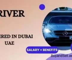 Driver Required in Dubai