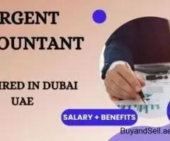 Urgent Accountant Required in Dubai