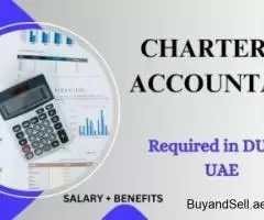 Chartered Accountant Required in Dubai