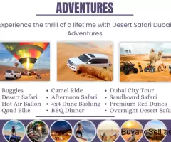 Evening Desert Safari Dubai / +971-5555-38395