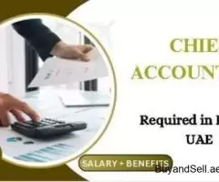 Chief Accountant Required in Dubai