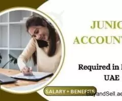 Junior Accountant Required in Dubai